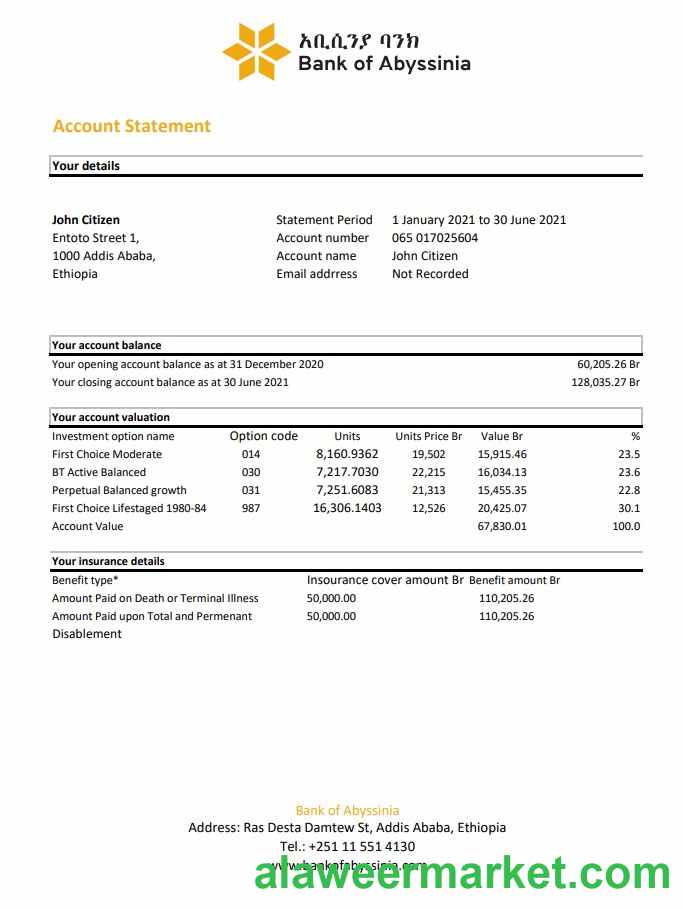 Ethiopia Bank of Abyssinia bank statement easy to fill template in .xls and .pdf file format